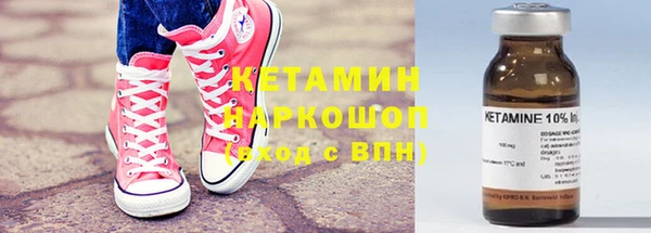 дурь Бородино