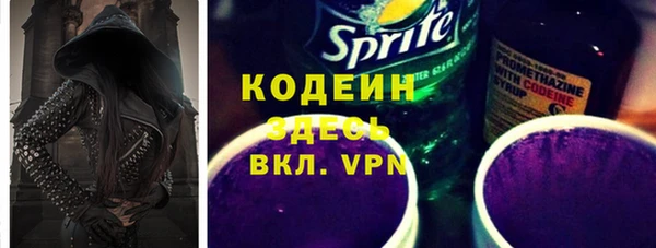дурь Бородино