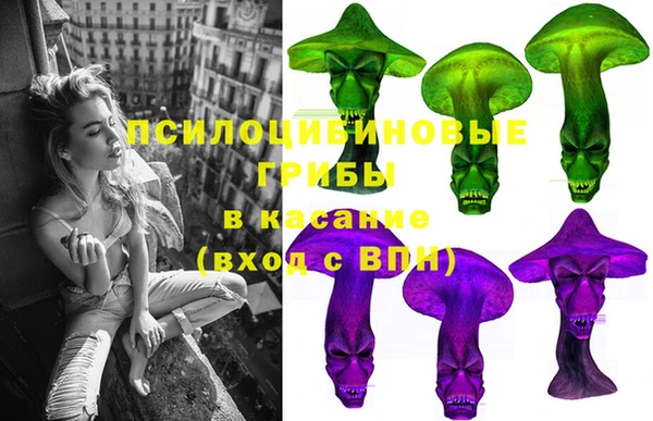 PSILOCYBIN Горно-Алтайск