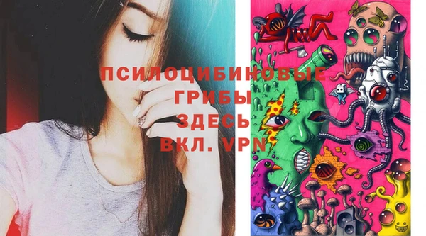 первитин Горнозаводск