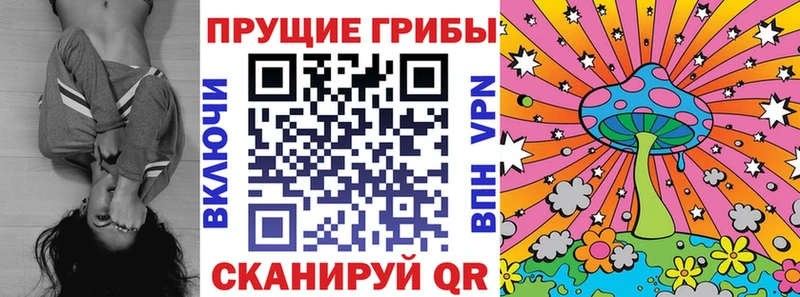 мега ССЫЛКА  цены наркотик  Зима  Псилоцибиновые грибы прущие грибы 