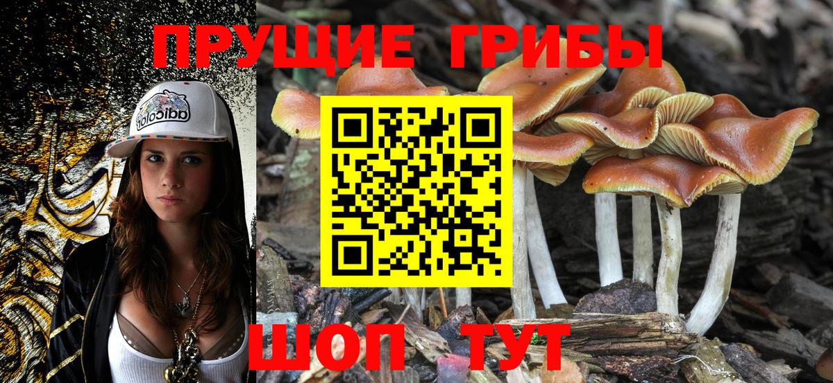 Зима  Галлюциногенные грибы Magic Shrooms  Галлюциногенные грибы Psilocybine cubensis  Вход с VPN 