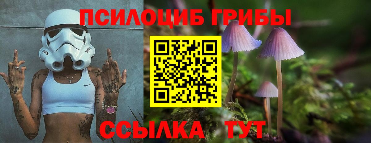 Псилоцибиновые грибы Cubensis Зима