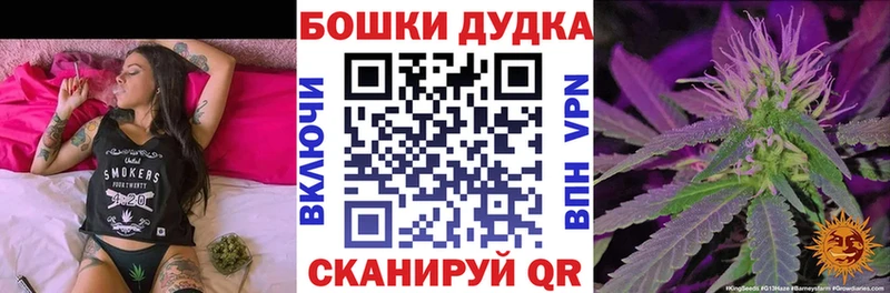 Бошки Шишки индика  купить наркотики цена  Зима 