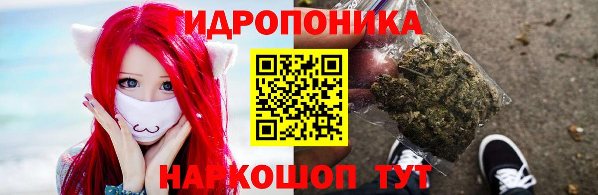 МАРИХУАНА Amnesia  Вход с VPN  Конопля Amnesia  Бошки Шишки сатива  Бошки марихуана тримм  Зима 